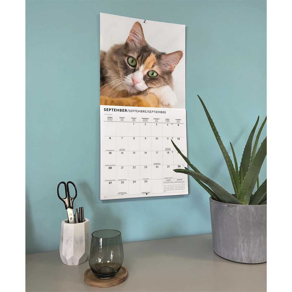 Love Of Cats 2026 Wall Calendar