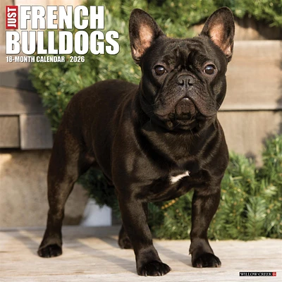 Just French Bulldogs 2026 Wall Calendar
