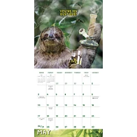 Stoner Sloths 2026 Wall Calendar