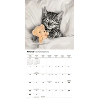 Classic Cats 2026 Wall Calendar