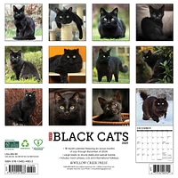 Just Black Cats Wall 2025 Calendar