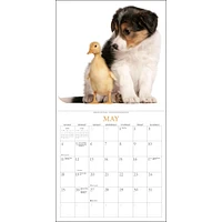 Puppies And Friends Wall 2025 Calendar