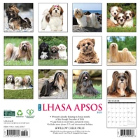 Just Lhasa Apsos Wall 2025 Calendar - Online Exclusive