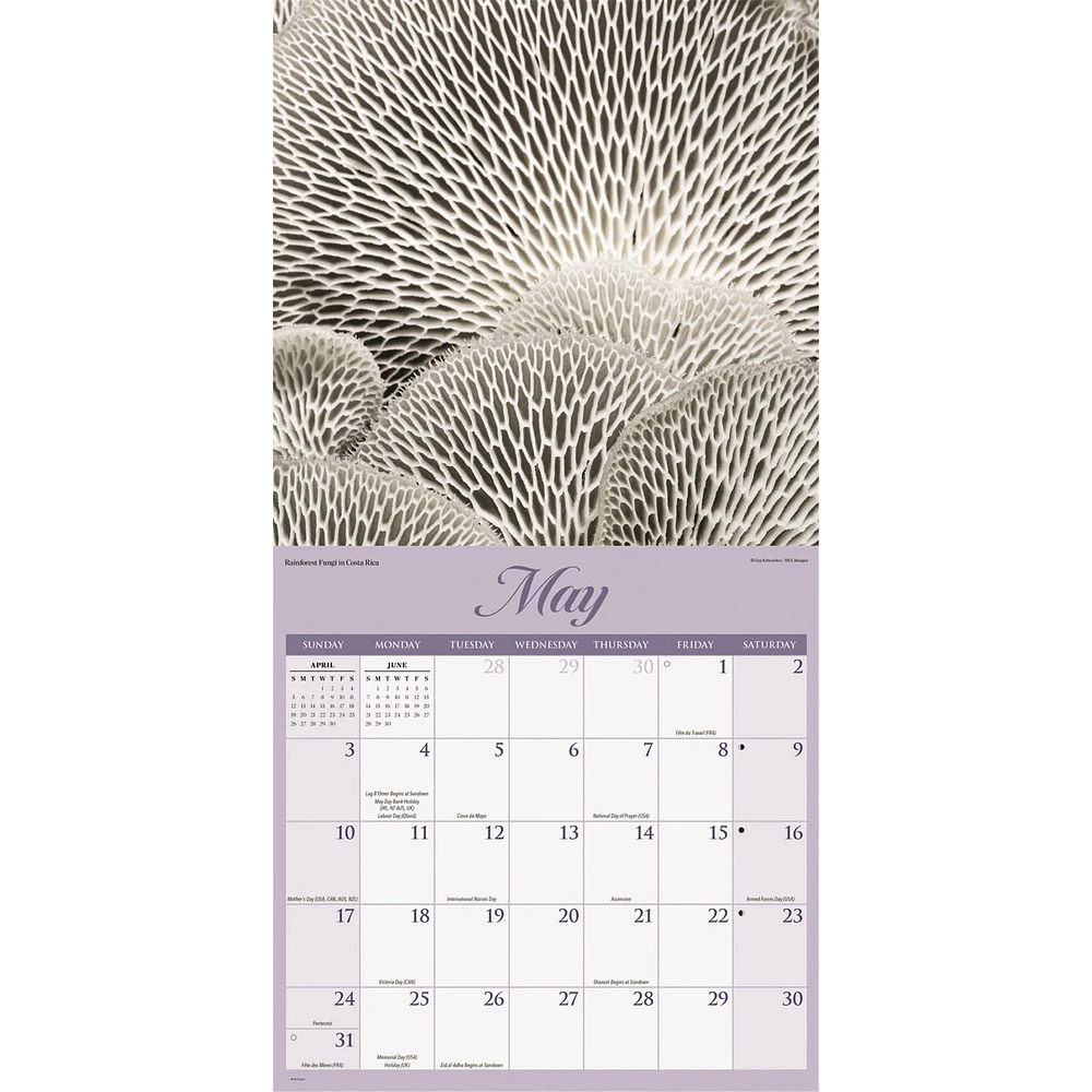 Natures Wonders 2026 Wall Calendar