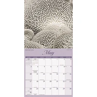 Natures Wonders 2026 Wall Calendar