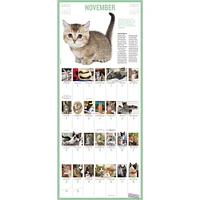 Kittens 365 2026 Wall Calendar