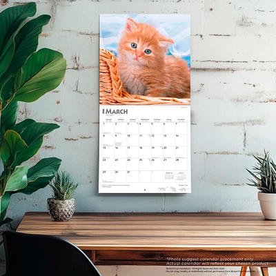 Ginger Cats 2026 Wall Calendar