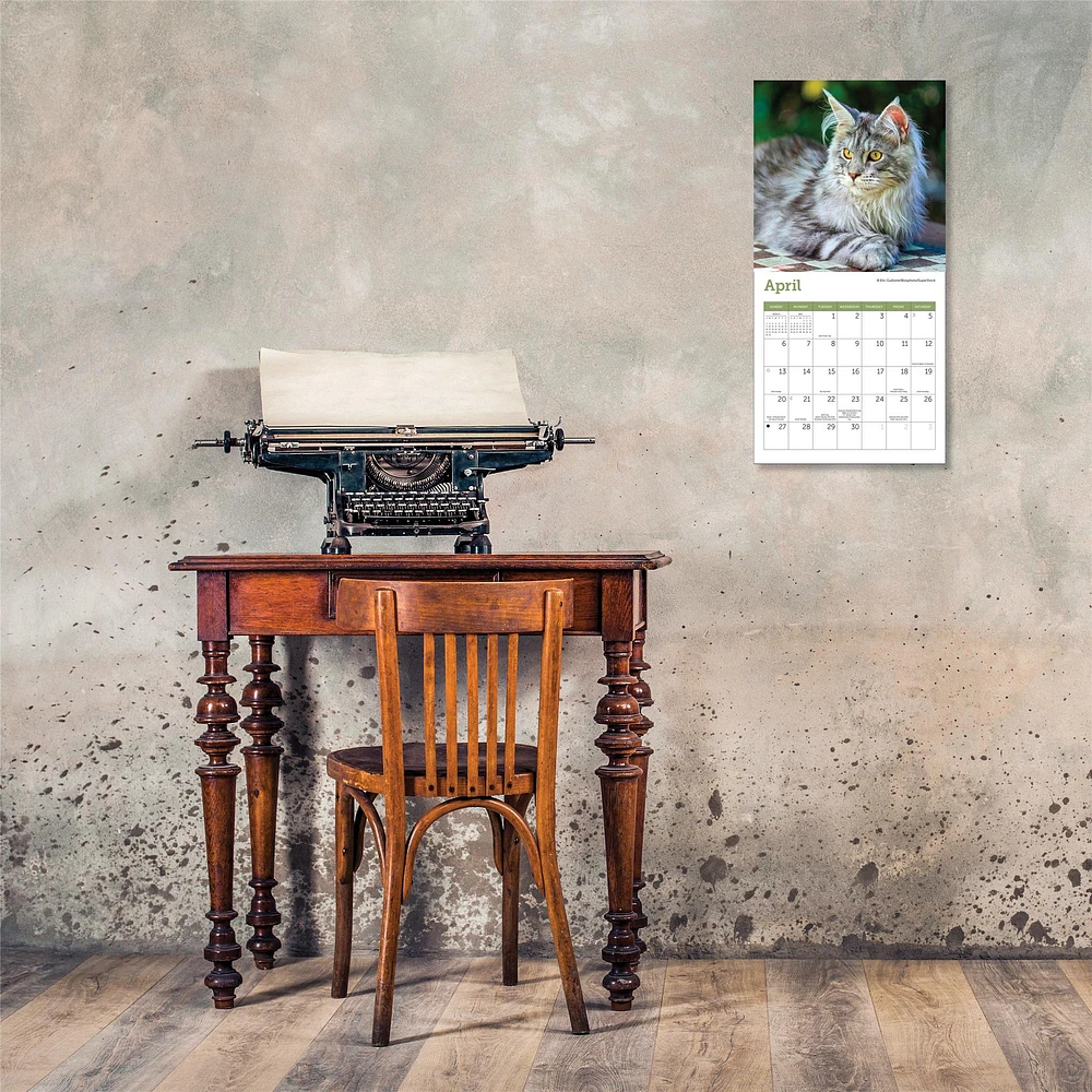 Cats Mini 2025 Calendar