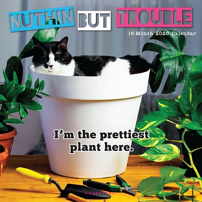 Nuthin' But Trouble 2026 Wall Calendar - Online Exclusive