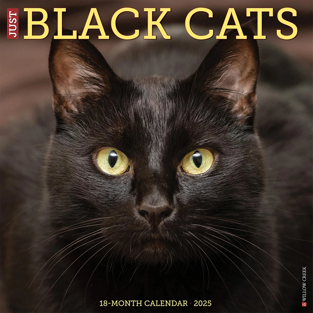 Just Black Cats Wall 2025 Calendar