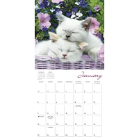 Cat Naps 2026 Wall Calendar - Online Exclusive