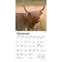 Highland Cows 2026 Mini Calendar