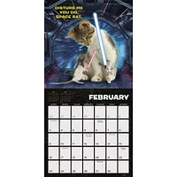 Cat Wars Mini 2025 Calendar