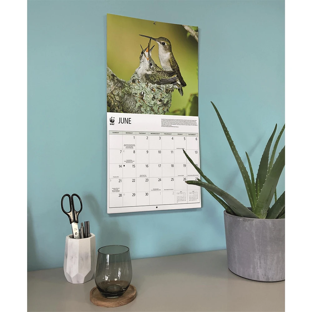 World Wildlife Fund Birds Backyard  2026 Wall Calendar