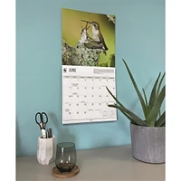 World Wildlife Fund Birds Backyard  2026 Wall Calendar