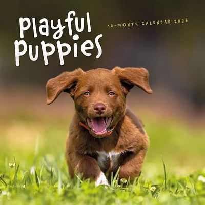 Playful Puppies 2026 Wall Calendar