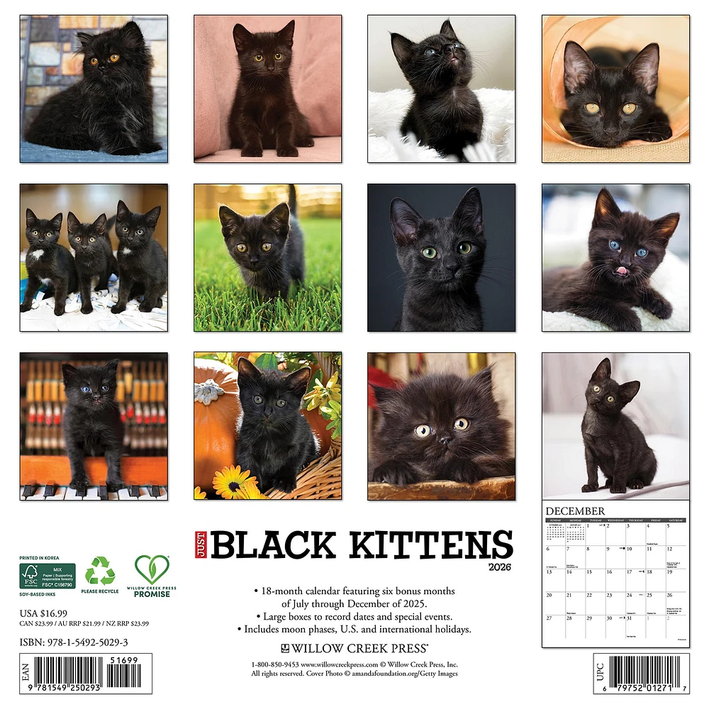 Just Black Kittens 2026 Wall Calendar - Online Exclusive