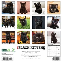 Just Black Kittens 2026 Wall Calendar - Online Exclusive