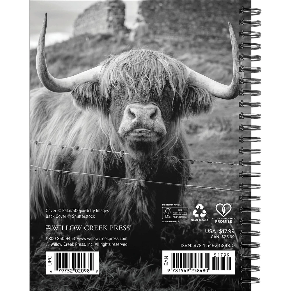 Highland Cows 2026 Engagement Calendar