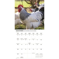 Chickens 2026 Wall Calendar