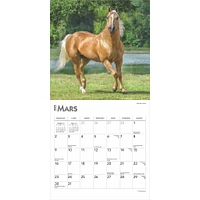 Chevaux Mini 2025 Calendar (French)