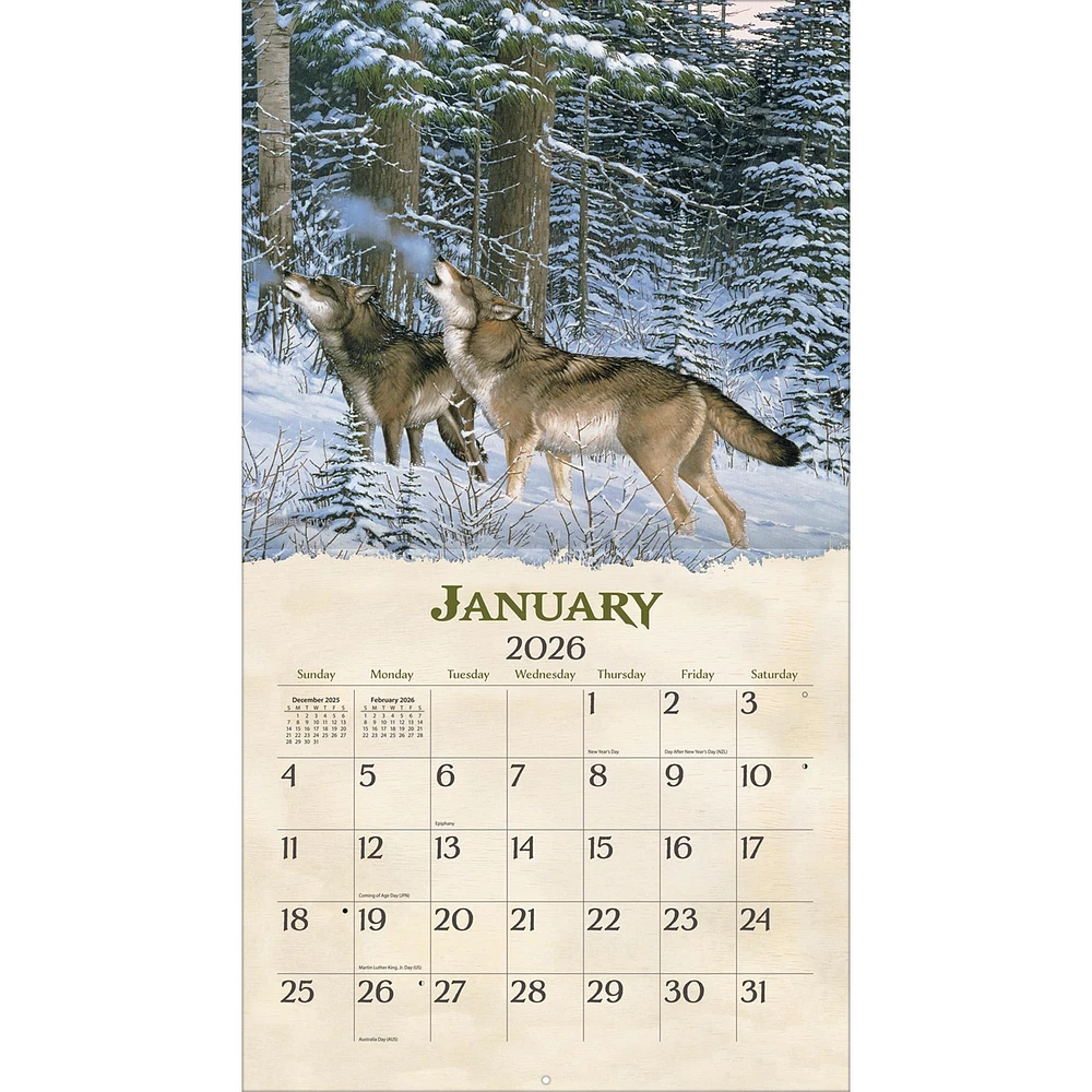 Beyond The Woods 2026 Wall Calendar - Online Exclusive