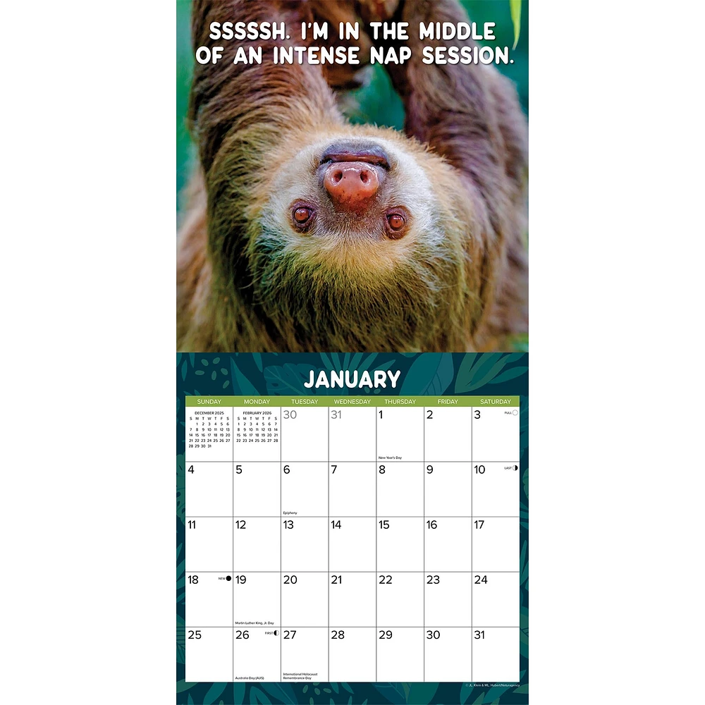 Sloth Mode 2026 Wall Calendar - Online Exclusive