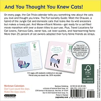 Cat Trivia 2026 Box Calendar
