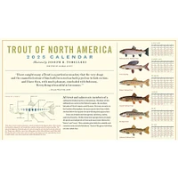 Trout Of North America Wall 2025 Calendar