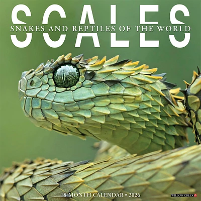 Scales 2026 Wall Calendar