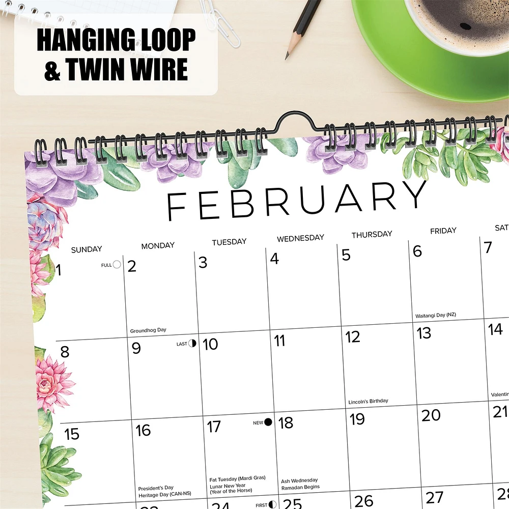 Succulents 2026 Spiral Wall Calendar