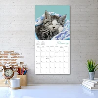 Cat Naps 2026 Wall Calendar - Online Exclusive
