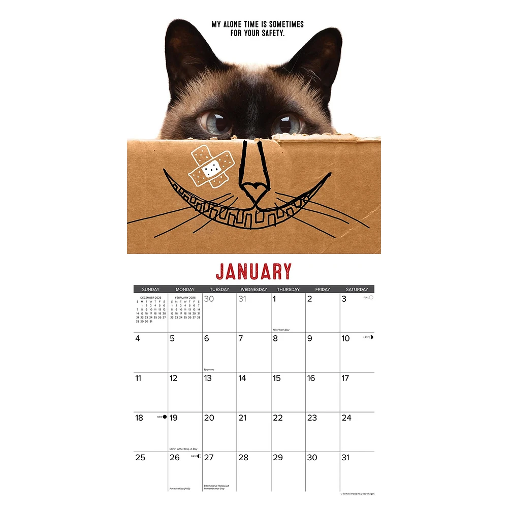 Bad Kitties 2026 Wall Calendar