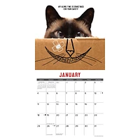 Bad Kitties 2026 Wall Calendar