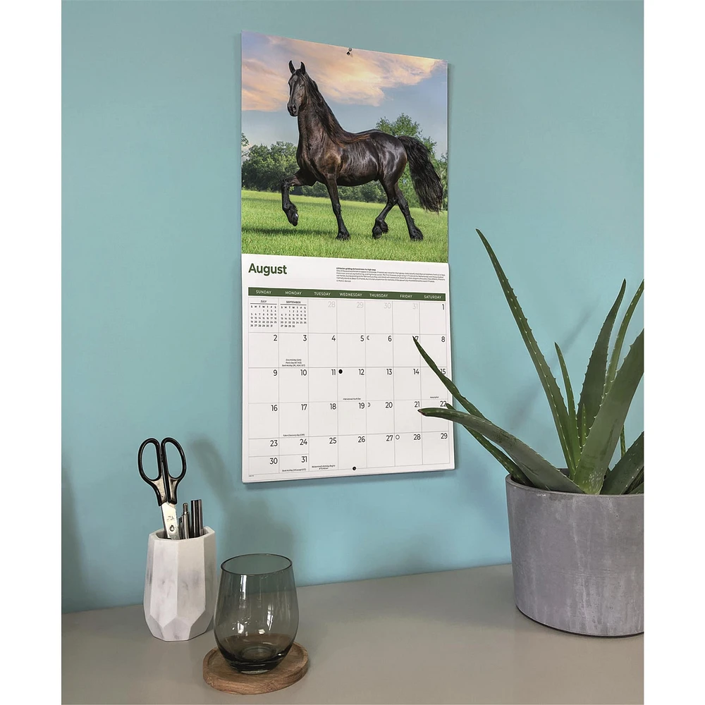 Horses 2026 Wall Calendar