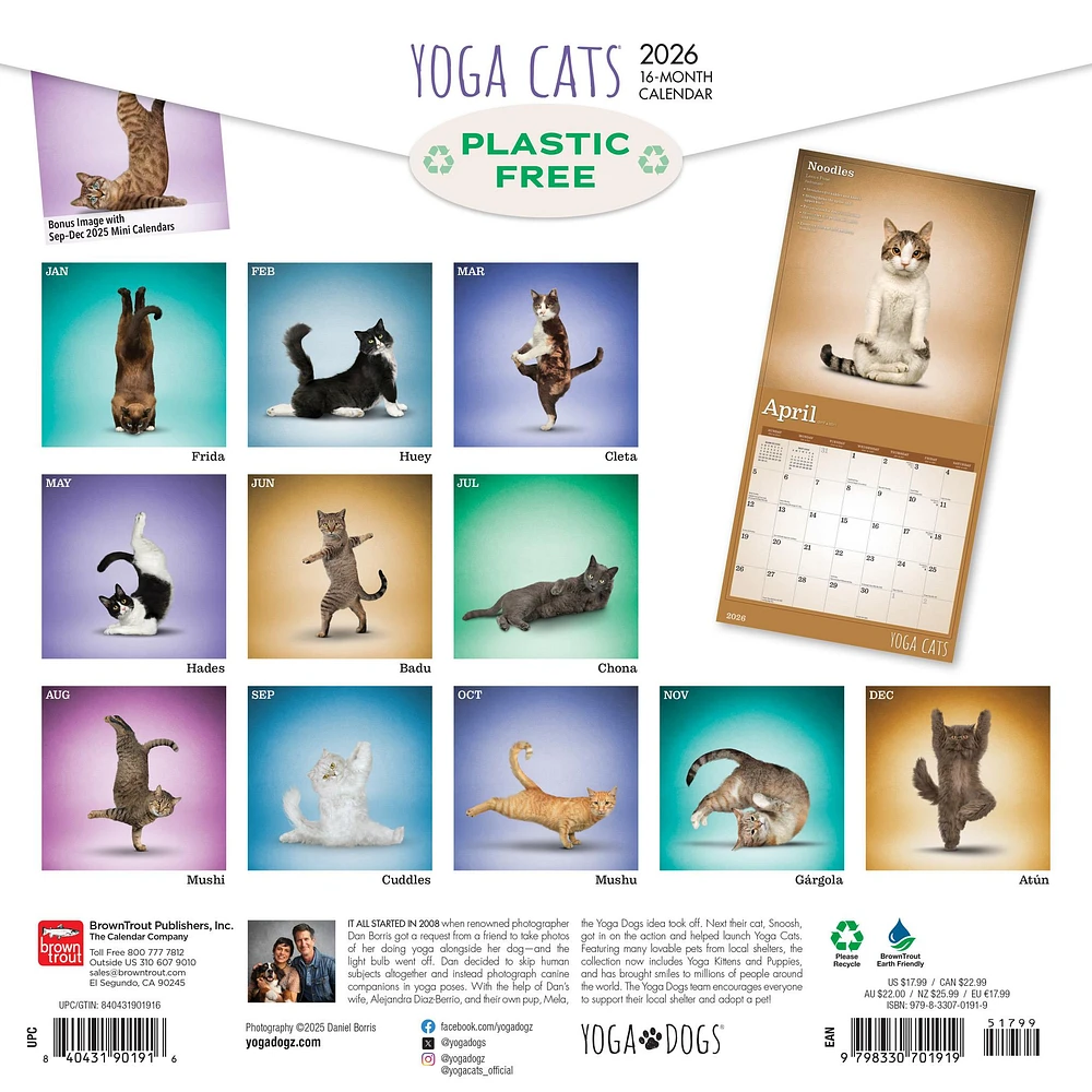 Yoga Cats 2026 Wall Calendar