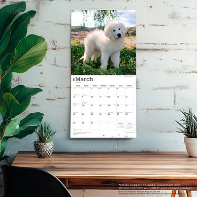 Great Pyrenees 2026 Wall Calendar