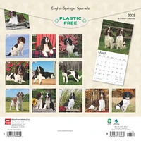 Springer Spaniels English Wall 2025 Calendar