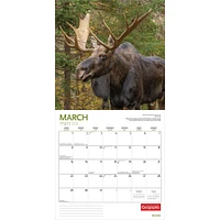 Canadian Geographic Moose 2026 Wall Calendar