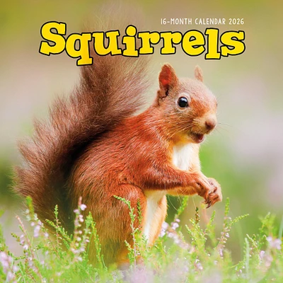 Squirrels 2026 Wall Calendar
