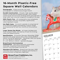 Rats 2026 Wall Calendar