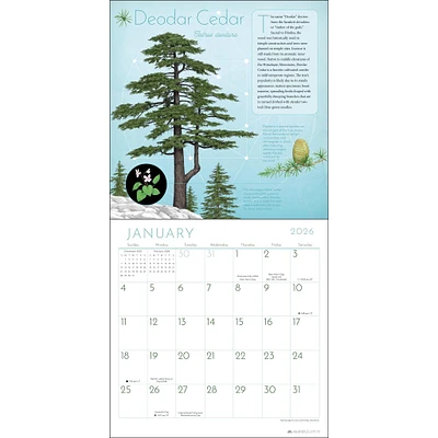 Trees Of Life 2026 Wall Calendar - Online Exclusive