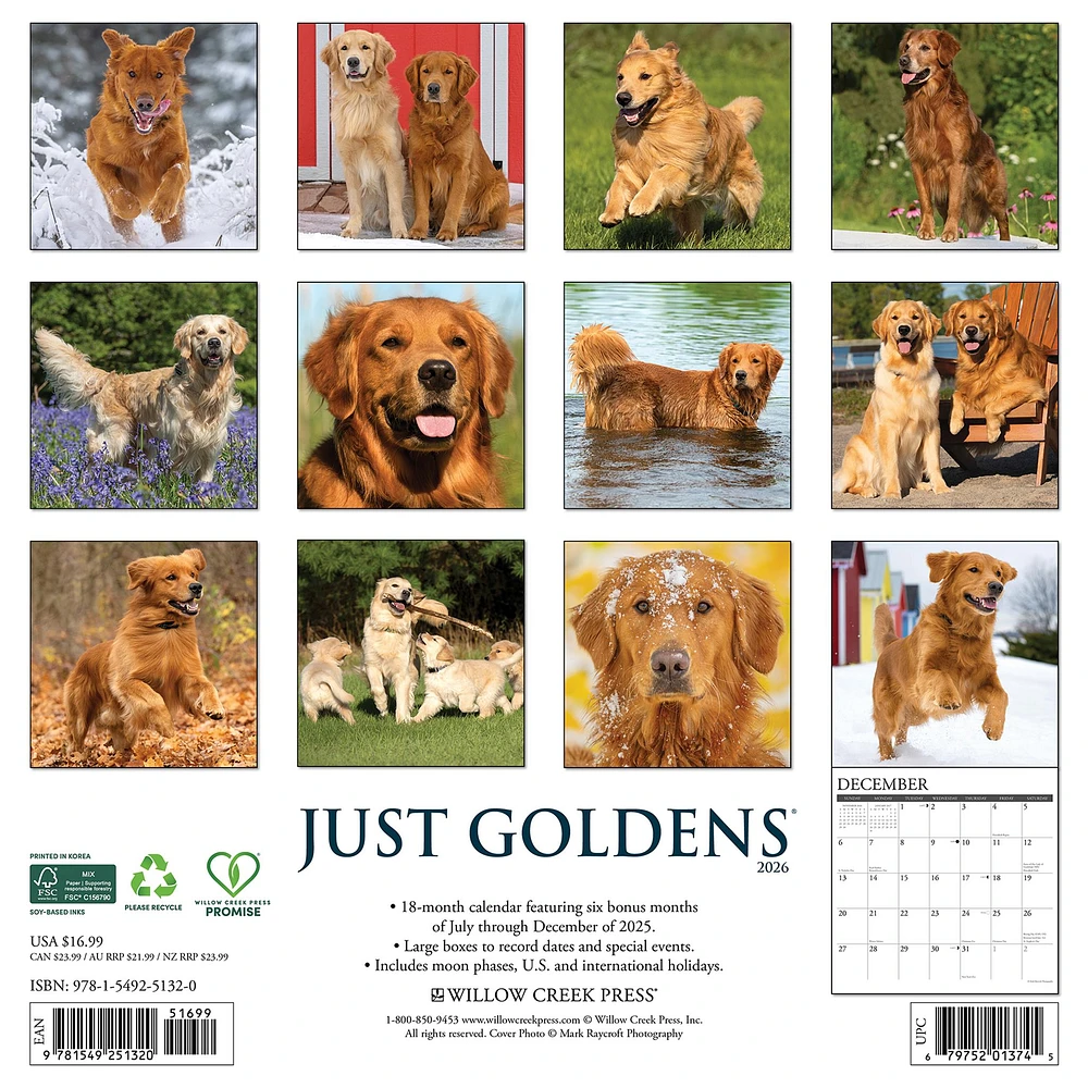 Just Goldens 2026 Wall Calendar