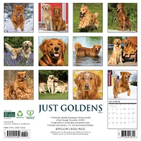 Just Goldens 2026 Wall Calendar