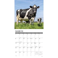 Just Cows 2026 Wall Calendar