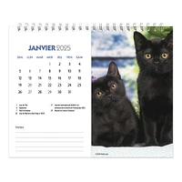 Chatons Easel 2025 Calendar (French)