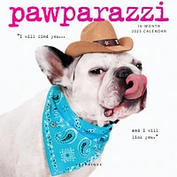 Pawparazzi Mini 2025 Calendar