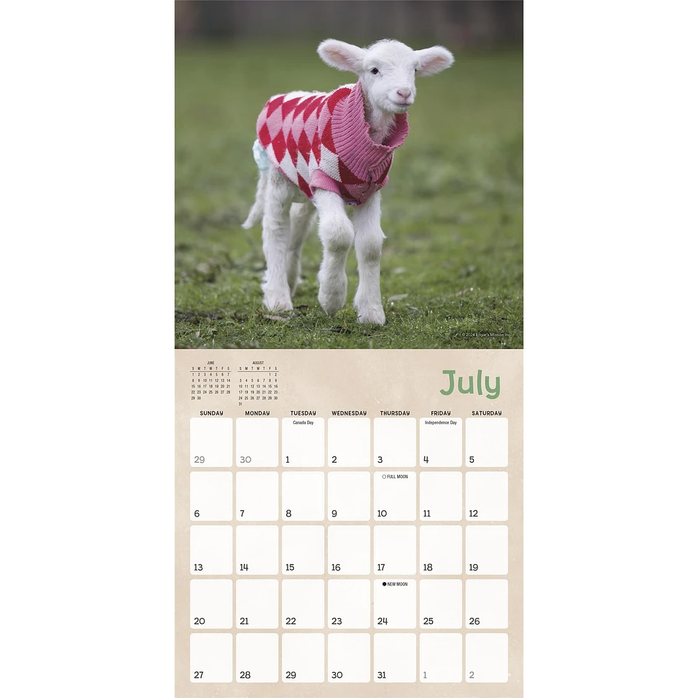 Lambies In Jammies And Goats In Coats Mini 2025 Calendar