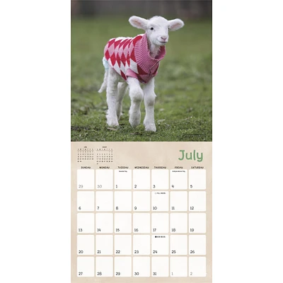 Lambies In Jammies And Goats In Coats Mini 2025 Calendar