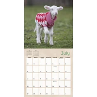 Lambies In Jammies And Goats In Coats Mini 2025 Calendar